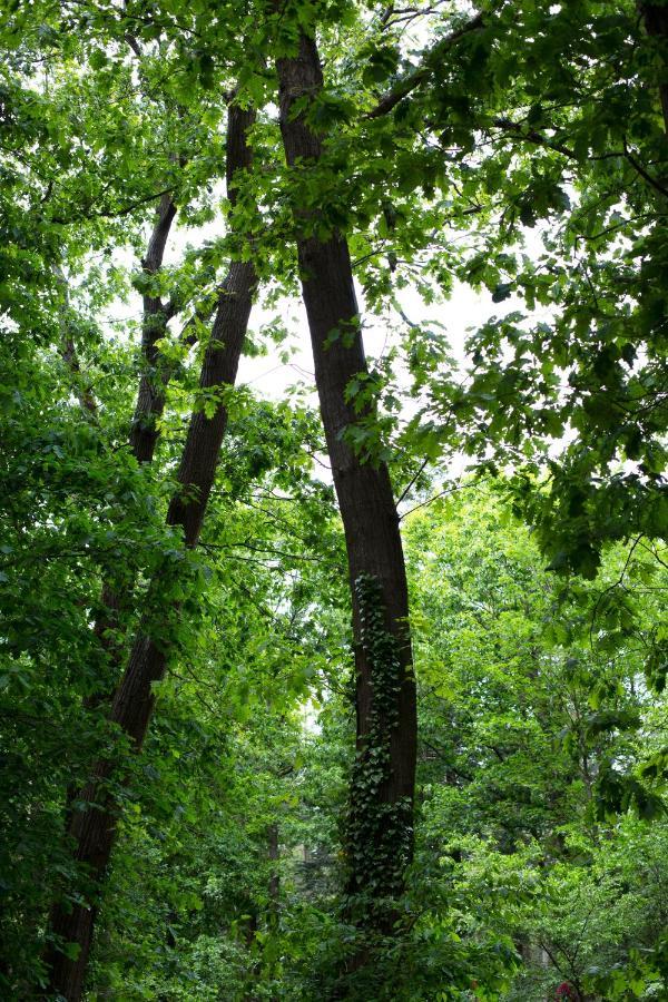 Buitenplaats Petersburg Arnhem Kültér fotó